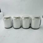 fs 3
